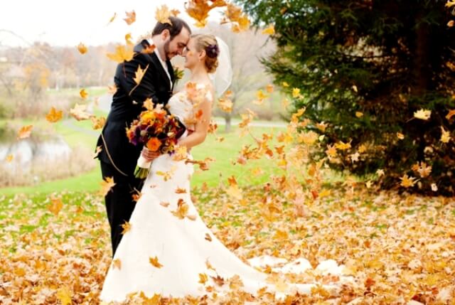 Fall in Love With Our New Wedding Products!